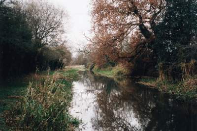pic5